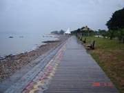 木棧道